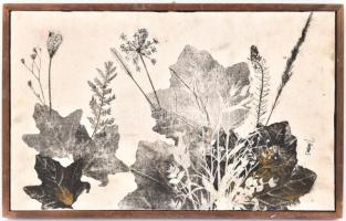 Olvashatatlan jelzéssel: Levelek. Vegyes technika, vászon, kartonon, vetemedett. F keretben, 29,5x49...