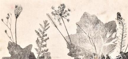 Olvashatatlan jelzéssel: Levelek. Vegyes technika, vászon, kartonon, vetemedett. F keretben, 29,5x49...