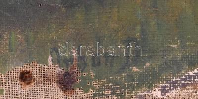 Orbán jelzéssel: Park. Olaj, vászon, sérült (több helyen szakadt), 50x60 cm