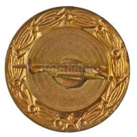 ~1960-1980."Kiváló Egészségnevelő Munkáért" műgyantás fém jelvény T:1-