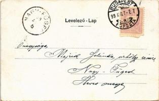 1899 Budapest XI. Gellérthegy, rakpart, piac, gőzhajó. St. Tietze kiadása (EK)