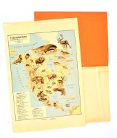 Állatföldrajzi atlasz.. Terv.: Baloghné Hajós Terézia. Bp., 1928, M. Kir. Állami Térképészet, Kókai ...