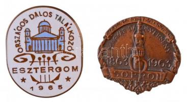 1963. "Százéves az első Országos Magyar Dalosverseny 1863-1963 - Sopron" Br jelvény (25x27mm) + 1965. "Országos Dalos Találkozó Esztergom 1965" zománcozott Br jelvény (29x24mm) T:1