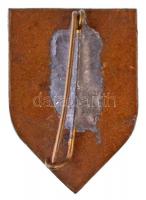 ~1938. "Teleki Blanka Általános Leány Gimnázium" zománcozott jelvény (27x19mm) T:1