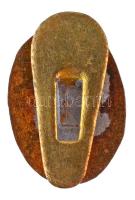 ~1930. "TIT (Természetimádók Társasága)" zománcozott gomblyukjelvény T:1