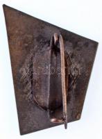 ~1975. "Úttörő Kéktúra - Zemplén hg." festett Al jelvény (33x25mm) T:1