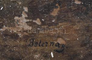 Beleznay jelzéssel: Hegyvidéki táj. Olaj, vászon, sérült.Szecessziós-florális díszítésű, sérült kere...