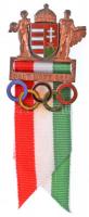 2002. Salt Lake City Téli Olimpia magyar részvételi érem zománcozott Br jelvény szalagsávon (31x43mm) T:1