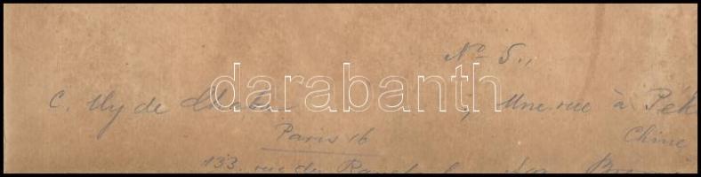 cca 1920-1930 Uy Kálmán (?-?): Virágzás, fotó kartonon, a hátoldalán ceruzás sorokkal, 22x15 cm. 

...