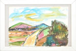 Balla Olga (1947-): Nagymaros környéki táj. Akvarell, papír, kartonra kasírozva, hátoldalán a művész...