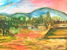 Balla Olga (1947-): Lovak naplementében (Dunakanyar, Nagymaros környék). Akvarell, papír, hátoldalán a művésznő bélyegzőjével jelzett. Díszes üvegezett fa keretben, 24x29,5 cm