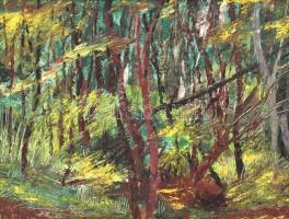 Nemes Béla (1912-1972): Zöldellő táj. Olaj, farost, jelzett, hátoldalán a művész lánya eredetiség igazolásával, kopott fa keretben, 30x40 cm