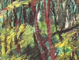 Nemes Béla (1912-1972): Zöldellő táj. Olaj, farost, jelzett, hátoldalán a művész lánya eredetiség ig...