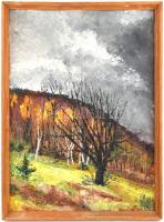 Nemes Béla (1912-1972): Zöldellő táj. Olaj, karton, jelzés nélkül, hátoldalán a művész lánya eredeti...