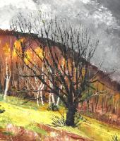 Nemes Béla (1912-1972): Zöldellő táj. Olaj, karton, jelzés nélkül, hátoldalán a művész lánya eredeti...