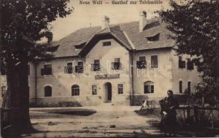Neue Welt (Niederösterreich), Gasthof zur Teichmühle / inn, hotel of Max Just. B.K.W.I. 2245. (fl)