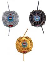 1979. "Fegyverbarátságért Érdemérem" arany, ezüst és bronz fokozata, zománcozott, aranyozo...