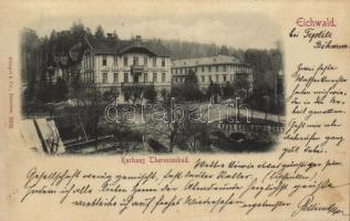 1901 Dubí, Eichwald; Kurhaus Theresienbad / spa, hotel, nath (fl)