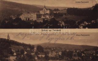 1922 Tanvald, Tannwald; Unter-Tannwald, Ober-Tannwald / general view (EK)