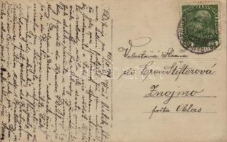 1913 Strazisko, general view. photo (EK)