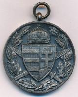 1929. "Magyar Háborús Emlékérem kardokkal, sisakkal" ezüstözött Br kitüntetés mellszalag n...