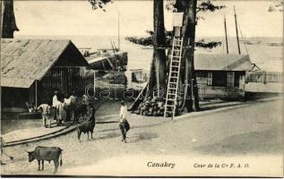 Conakry, Cour de la Cie F. A. O. / th court