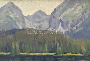 Jelzés nélkül: Hegyvidéki táj (Tátra?). Olaj, karton, 23x39,5 cm