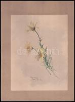 Demeczkyné Volf Irma (1874-1957): Virágok. Akvarell, papír, kartonra kasírozva, jelzett és datált (Volf Irma 1892.II.16), 24x18 cm