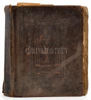 Pongrácz Eszter: Igaz isteni szeretetnek harmatjából nevelkedett drága kövekkel kirakott arany koron...