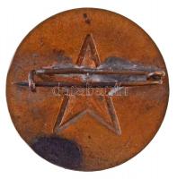 1956. "Április 4-i Díszszemle - Van hazánk, van mit megvédenünk 1956. április 4." aranyozo...