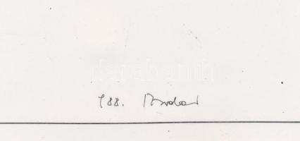 Bodor Miklós (1925-2010): Virginiai Holdruta (Kunfehértó). Tus, toll, papír, jelzett és datált (Bodo...