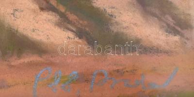 Bodor Miklós (1925-2010): Szanki útban (Kiskunfélegyháza környéke). Pasztell, papír, jelzett és datá...