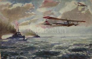 Viribus Unitis. K.u.K. Kriegsmarine Seeflugzeuge / WWI Austro-Hungarian Navy seaplanes, naval aircrafts, battleships s: P. Jaritz (EB)