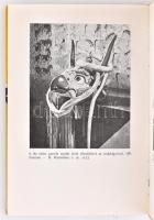 Lőrincz László: Mongol mitológia. A Körösi Csoma Kiskönyvtár sorozat 14. része. Bp., 1975, Akadémiai...