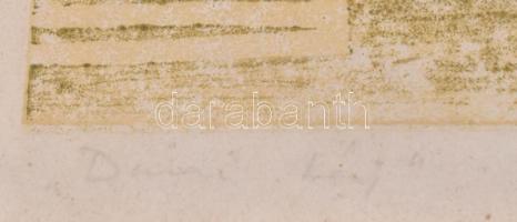 B. Séday Mária (1925-2009): Dunai táj. Színes linómetszet, papír, jelzett, lap alja kissé foltos, üv...