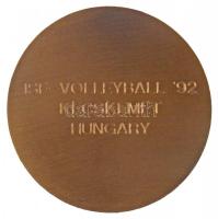 1992. "ISF / ISF - Volleyball '92 - Kecskemét Hungary" egyoldalas Br strandröpladba s...