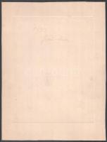 cca 1930 Esküvői portré, kartonra ragasztott fotó, Goszleth I. és Fia budapesti műhelyéből, hátulján...