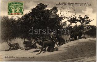 Dahomey (Moyen Niger), A.O.F. Femmes et Filles haoussas pilant le mil / Hausa women are selecting millet