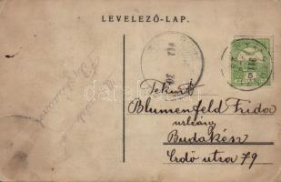 1911 Tátraháza, Mlynceky (Tátra, Magas Tátra, Vysoké Tatry); hölgy a kertben. lapra ragasztott fotó ...