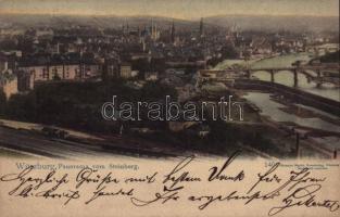 1905 Würzburg, Panorama vom Steinberg / general view, railway station, bridge. Hermann Martin Kunstverlag 1401.