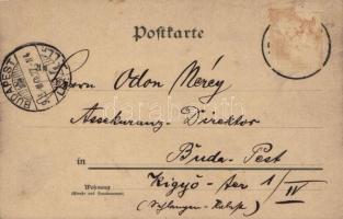 1905 Würzburg, Panorama vom Steinberg / general view, railway station, bridge. Hermann Martin Kunstv...