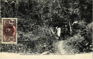 Dahomey, Foret des Éléphants (Oboudoladé) / elephant forest