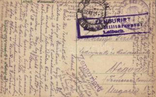 1915 Ljubljana, Laibach; Wienerstraße / street view, café, shops + "K.u.K. Reservespital Laibac...