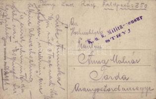 1916 Stryi, Stryj; Dom Dr. Fichnera, Willa Lauterbacha / house of Dr. Fichner, villa (EK)