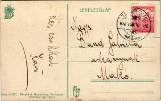 1918 Tátra, Magas-Tátra, Vysoké Tatry; Tarpatakfüred, Lomnici-csúcs / Kohlbachtal, Lomnitzer-Spitze ...