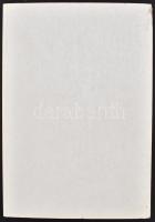 Bakay Kornél: Castrum Kwszug. A kőszegi felsővár és a milléniumi kilátó. A VI. fejezetet Söptei Imre...