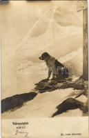 Tátraszéplak, Tatranska Polianka, Westerheim (Tátra, Magas-Tátra, Vysoké Tatry); Barry, a bernáthegyi kutya télen. Dr. Guhr felvétele / St. Bernard dog in winter in the High Tatras (EK)