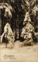 1918 Tátraszéplak, Tatranska Polianka, Westerheim (Tátra, Magas-Tátra, Vysoké Tatry); új hó / Neuschnee / fresh snow, winter in the High Tatras. photo (EB)