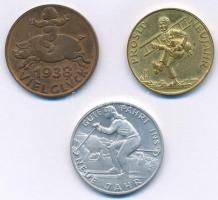 Ausztria 3xklf újévi zseton (Új Bécsi Újság Br zseton, H. Lanz Graz Al zseton, cégnév nélküli aranyo...