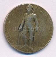 Ausztria 1901. "Straubinger testvér operett 100. előadása alkalmából a Bécsi Színházban" e...